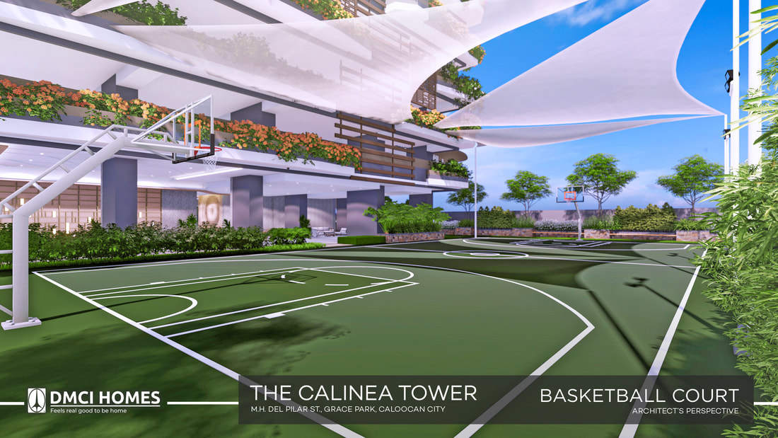 cal-basketball-court_orig